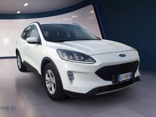 FORD Kuga 1.5 EcoBlue 120 CV 2WD Connect