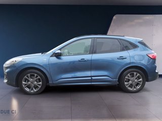 FORD Kuga 1.5 EcoBlue 120 CV 2WD ST-Line X