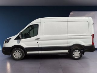 FORD Transit 350 L2H2 Trend 2.0 Eco MHEV 130 Cv