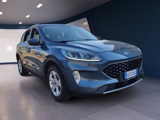 FORD Kuga 1.5 EcoBlue 120CV 2WD Connect