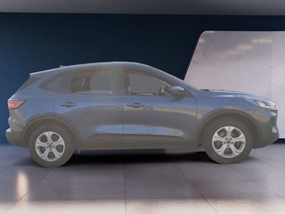 FORD Kuga 1.5 EcoBlue 120CV 2WD Connect